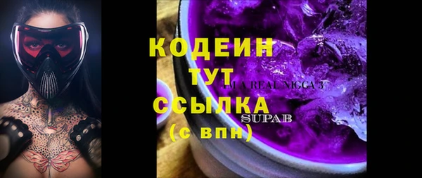 индика Вязники