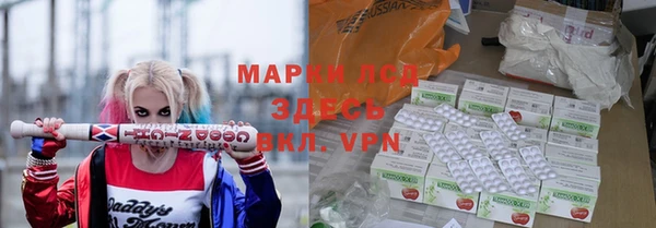 индика Вязники