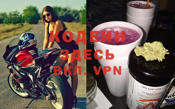 индика Вязники
