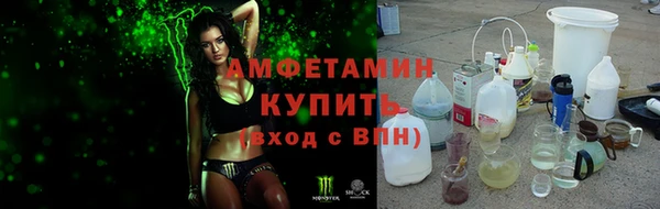 индика Вязники