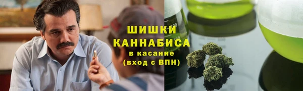 индика Вязники