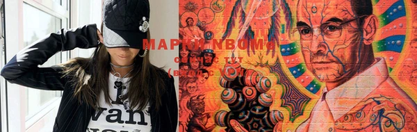 индика Вязники